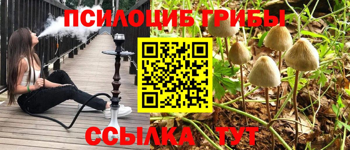 Галлюциногенные грибы мухоморы Торжок